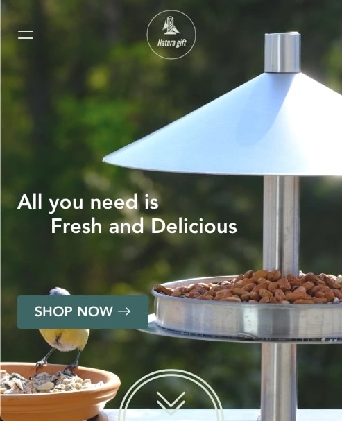 Natural Gift project preview